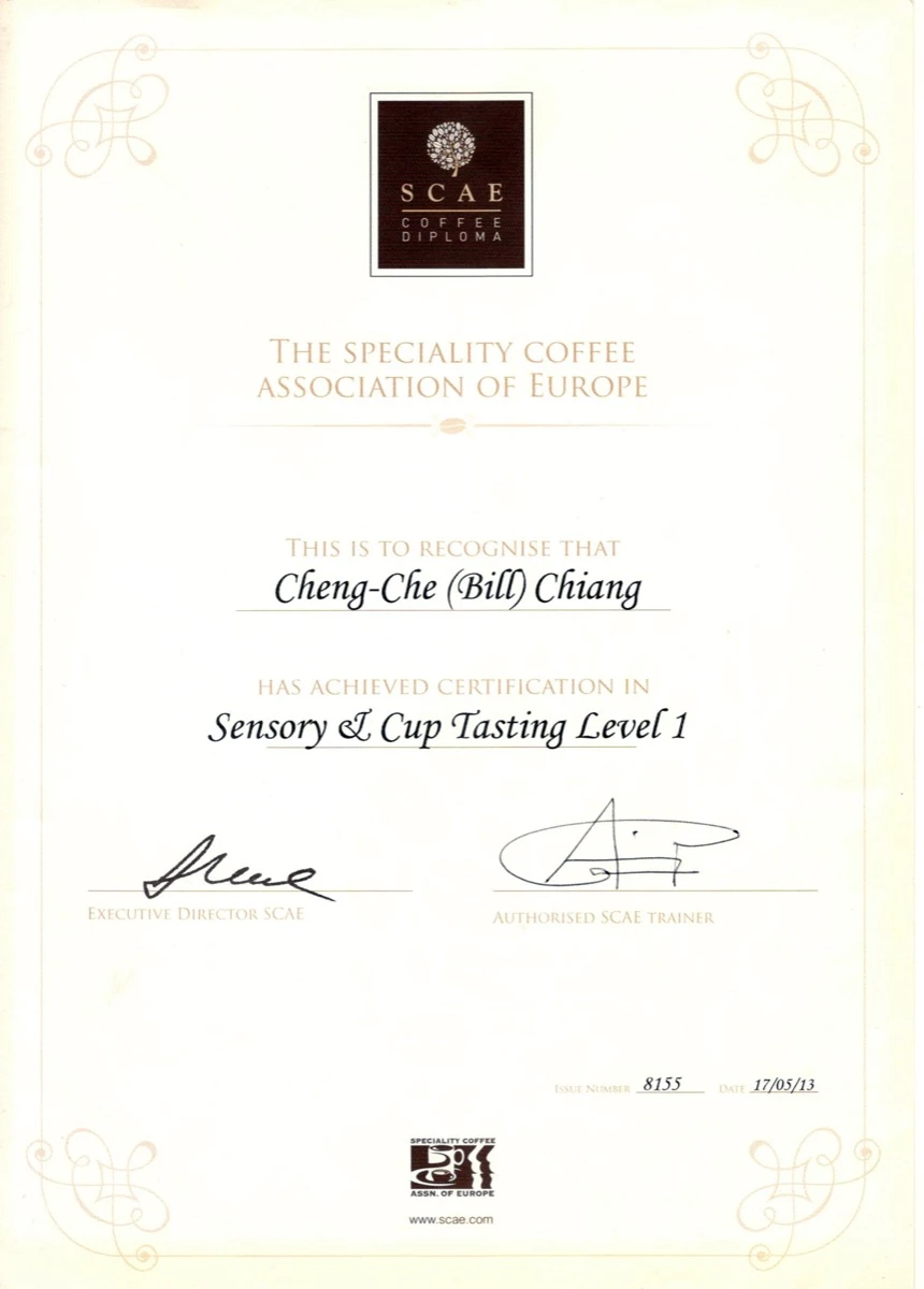 SCAE 感官 Lv1