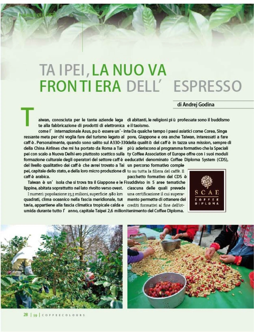 CoffeeColours p30